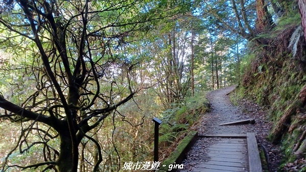 【台中和平】山迢路遠換一回高山好景致。 No75百岳雪山東峰 【台中和平】山迢路遠換一回高山好景致。 No75百岳雪山東峰