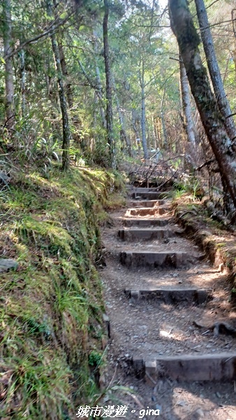【台中和平】山迢路遠換一回高山好景致。 No75百岳雪山東峰 【台中和平】山迢路遠換一回高山好景致。 No75百岳雪山東峰