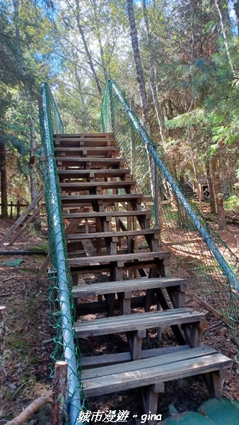 【台中和平】山迢路遠換一回高山好景致。 No75百岳雪山東峰 【台中和平】山迢路遠換一回高山好景致。 No75百岳雪山東峰