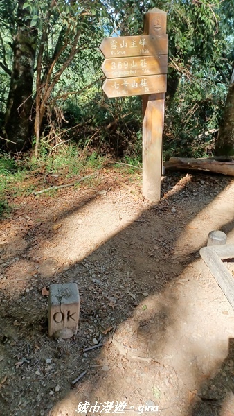 【台中和平】山迢路遠換一回高山好景致。 No75百岳雪山東峰 【台中和平】山迢路遠換一回高山好景致。 No75百岳雪山東峰