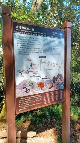 【台中和平】山迢路遠換一回高山好景致。 No75百岳雪山東峰