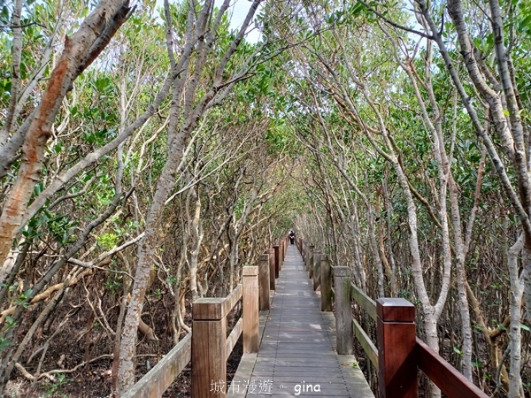 【新竹新豐】台灣唯一建有觀賞步道的生態保護區。 新豐紅樹林生