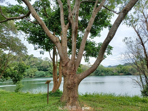 【新竹寶山】湖畔好風景。 寶山水庫環湖步道 【新竹寶山】湖畔好風景。 寶山水庫環湖步道