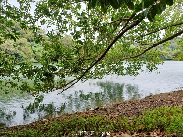 【新竹寶山】湖畔好風景。 寶山水庫環湖步道 【新竹寶山】湖畔好風景。 寶山水庫環湖步道