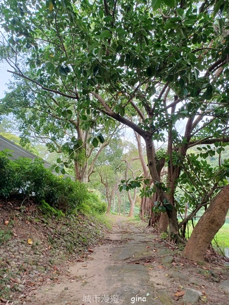 【新竹寶山】湖畔好風景。 寶山水庫環湖步道 【新竹寶山】湖畔好風景。 寶山水庫環湖步道