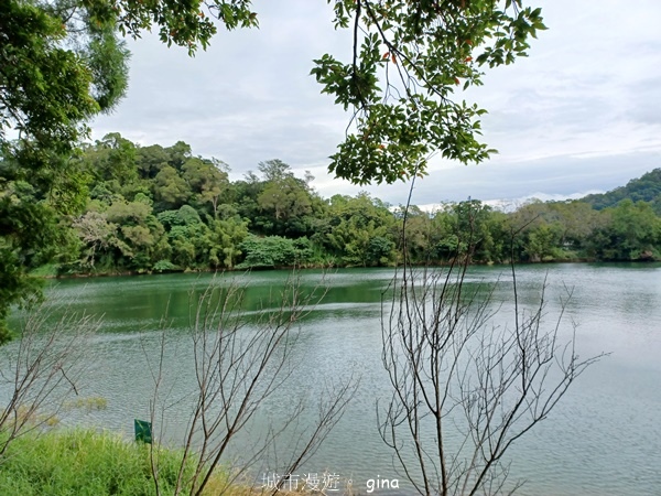【新竹寶山】湖畔好風景。 寶山水庫環湖步道 【新竹寶山】湖畔好風景。 寶山水庫環湖步道