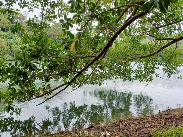 【新竹寶山】湖畔好風景。 寶山水庫環湖步道 【新竹寶山】湖畔好風景。 寶山水庫環湖步道