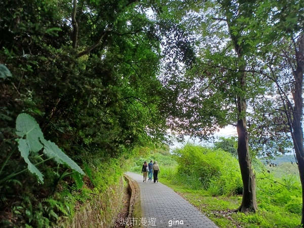 【新竹寶山】湖畔好風景。 寶山水庫環湖步道 【新竹寶山】湖畔好風景。 寶山水庫環湖步道