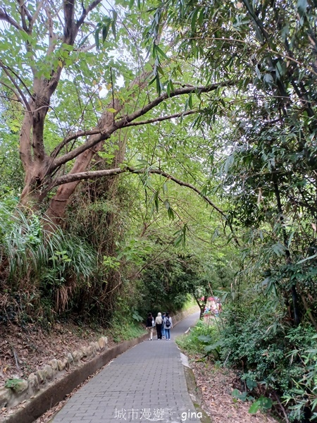 【新竹寶山】湖畔好風景。 寶山水庫環湖步道 【新竹寶山】湖畔好風景。 寶山水庫環湖步道