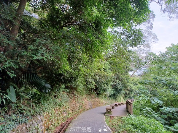 【新竹寶山】湖畔好風景。 寶山水庫環湖步道 【新竹寶山】湖畔好風景。 寶山水庫環湖步道