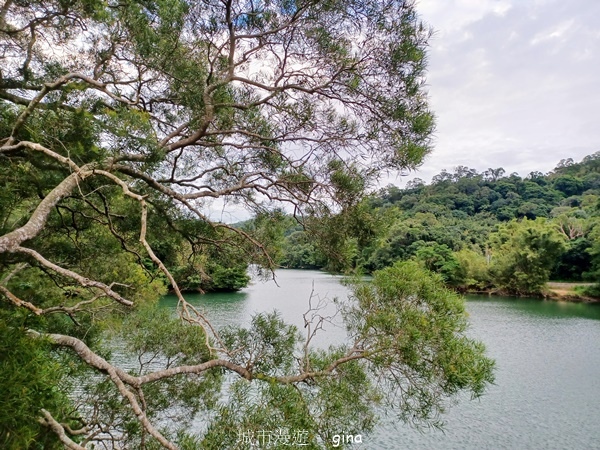 【新竹寶山】湖畔好風景。 寶山水庫環湖步道 【新竹寶山】湖畔好風景。 寶山水庫環湖步道