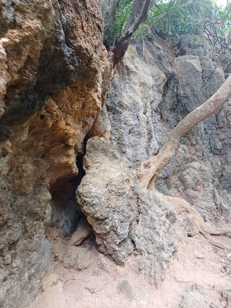 【屏東恆春】自然風情。 社頂自然公園步道 【屏東恆春】自然風情。 社頂自然公園步道