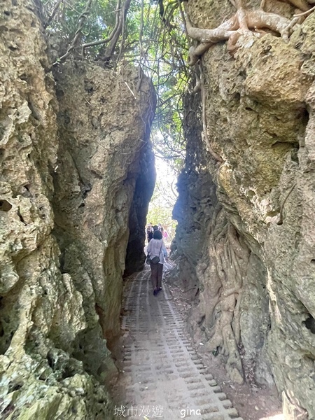 【屏東恆春】自然風情。 社頂自然公園步道 【屏東恆春】自然風情。 社頂自然公園步道