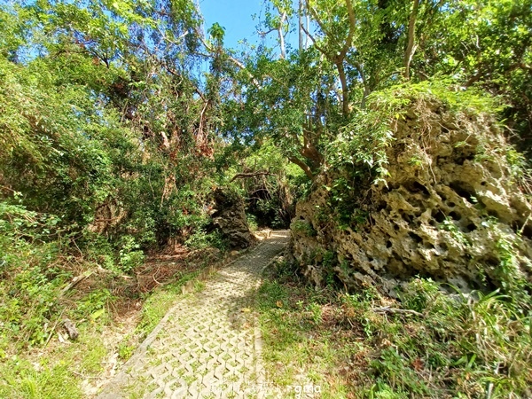 【屏東恆春】自然風情。 社頂自然公園步道 【屏東恆春】自然風情。 社頂自然公園步道