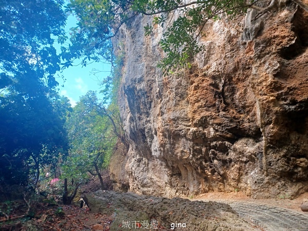 【屏東恆春】自然風情。 社頂自然公園步道 【屏東恆春】自然風情。 社頂自然公園步道