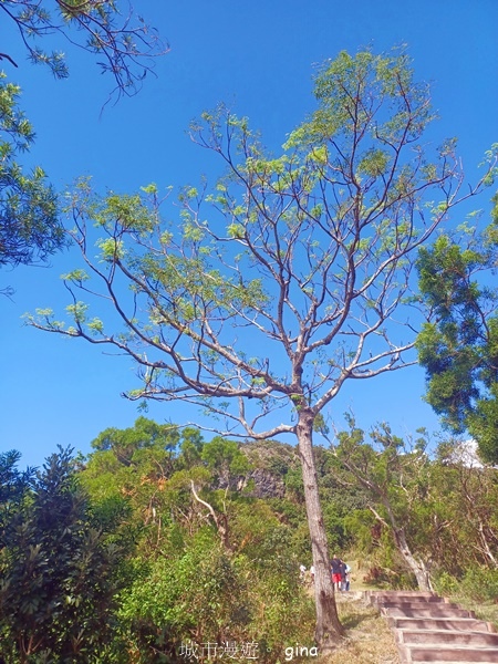 【屏東恆春】自然風情。 社頂自然公園步道 【屏東恆春】自然風情。 社頂自然公園步道
