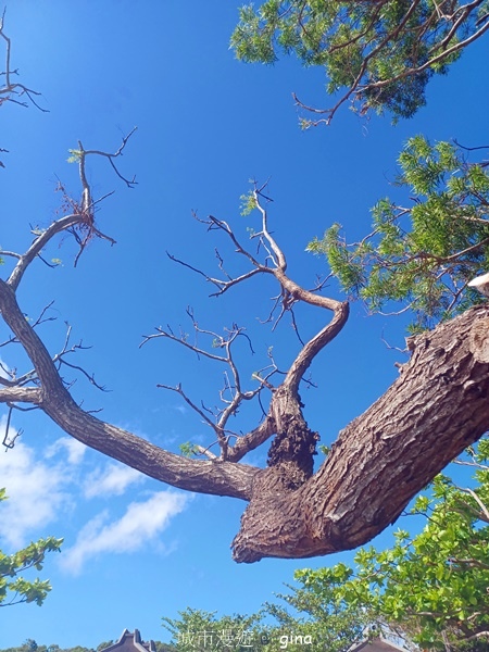 【屏東恆春】自然風情。 社頂自然公園步道 【屏東恆春】自然風情。 社頂自然公園步道