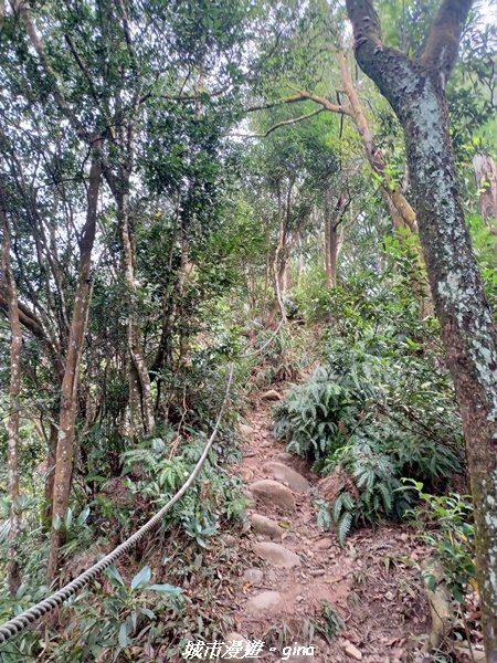 【苗栗銅鑼】苗栗銅鑼~雙峰山x杭菊