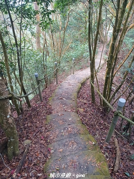 【苗栗銅鑼】苗栗銅鑼~雙峰山x杭菊