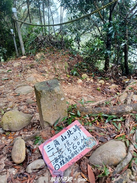 【苗栗銅鑼】苗栗銅鑼~雙峰山x杭菊