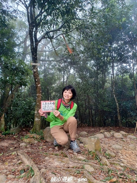 【苗栗銅鑼】苗栗銅鑼~雙峰山x杭菊