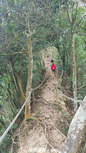 【苗栗銅鑼】苗栗銅鑼~雙峰山x杭菊