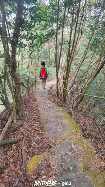 【苗栗銅鑼】苗栗銅鑼~雙峰山x杭菊