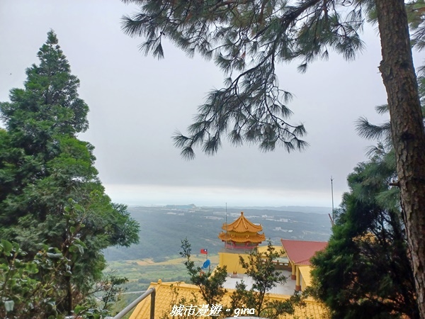 【苗栗銅鑼】苗栗銅鑼~雙峰山x杭菊