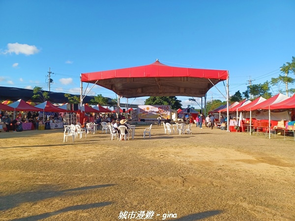 【苗栗銅鑼】苗栗銅鑼~雙峰山x杭菊