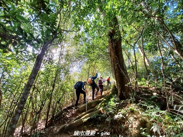 【新竹峨嵋】獅頭山步道群O型