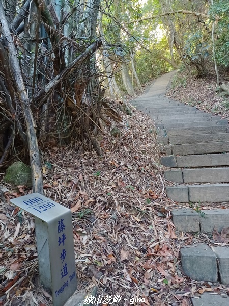 【新竹峨嵋】獅頭山步道群O型