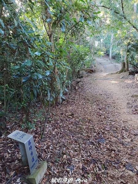 【新竹峨嵋】獅頭山步道群O型