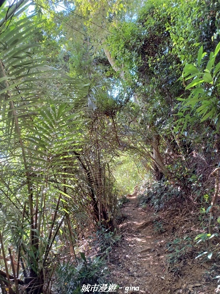 【新竹峨嵋】獅頭山步道群O型