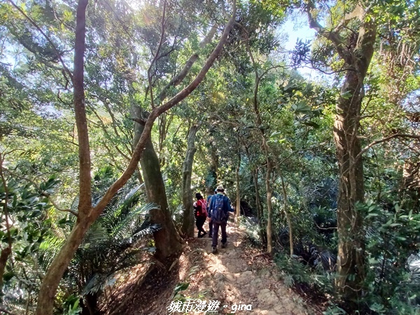 【新竹峨嵋】獅頭山步道群O型