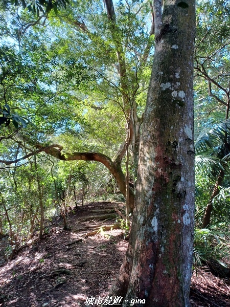 【新竹峨嵋】獅頭山步道群O型