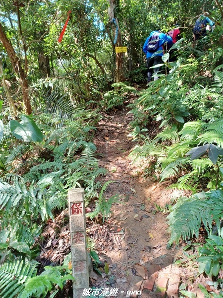 【新竹峨嵋】獅頭山步道群O型