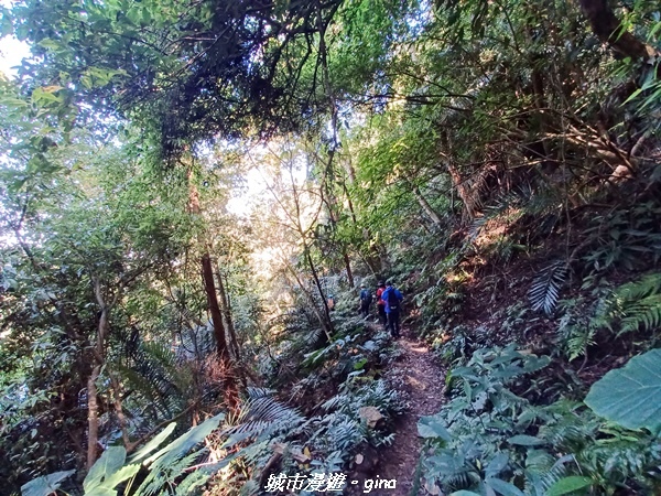 【新竹峨嵋】獅頭山步道群O型