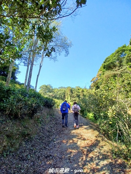 【新竹峨嵋】獅頭山步道群O型