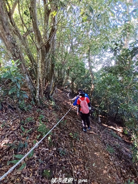 【新竹峨嵋】獅頭山步道群O型