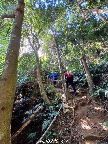 【新竹峨嵋】獅頭山步道群O型