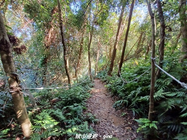 【新竹峨嵋】獅頭山步道群O型