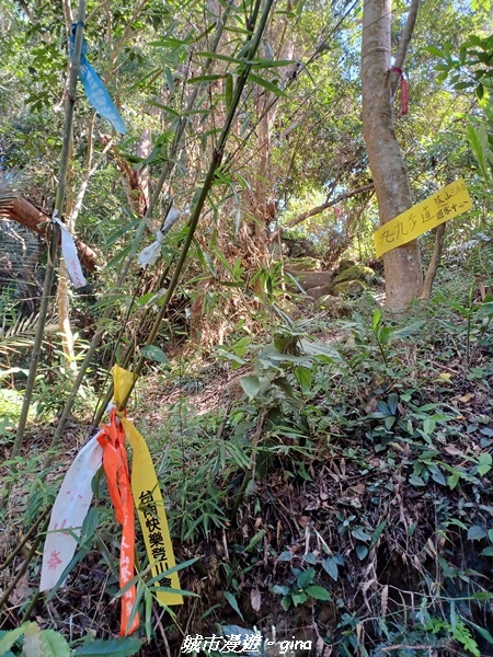 【新竹峨嵋】獅頭山步道群O型