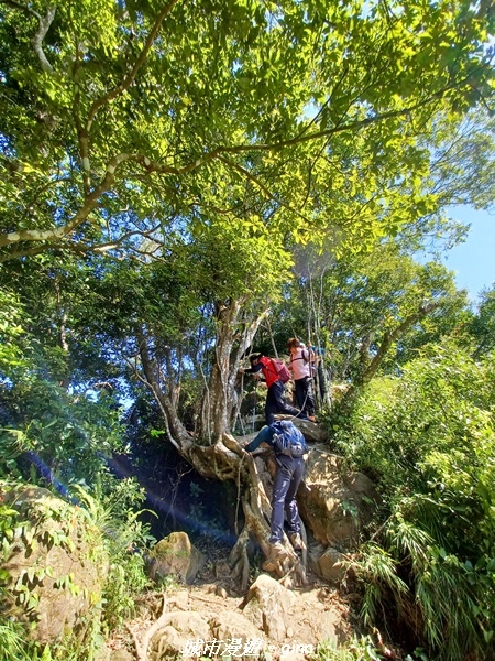 【新竹峨嵋】獅頭山步道群O型