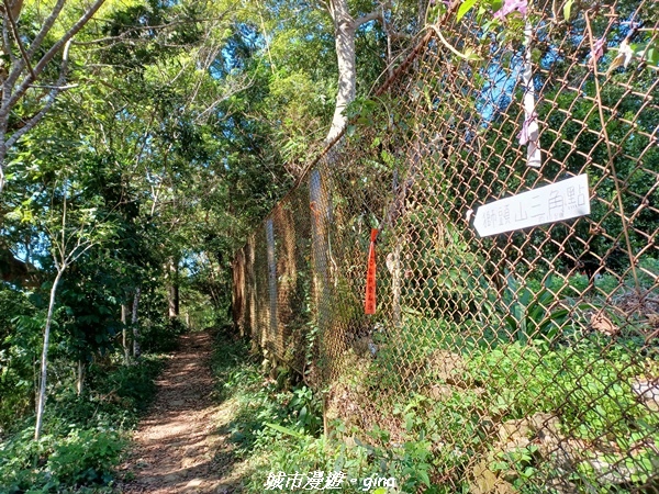 【新竹峨嵋】獅頭山步道群O型