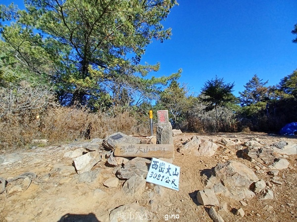 【南投信義】陡上陡下無冷場叫大山的都不好惹。 No91百岳~