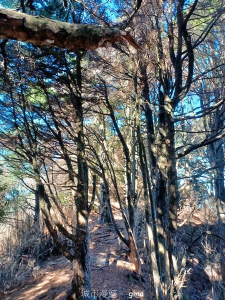 20231210_095141.jpg