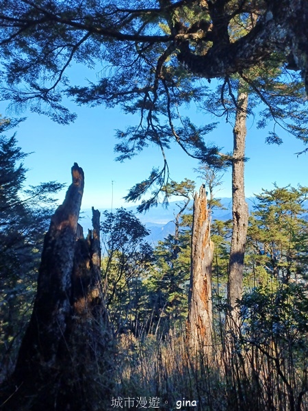 【南投信義】陡上陡下無冷場叫大山的都不好惹。 No91百岳~