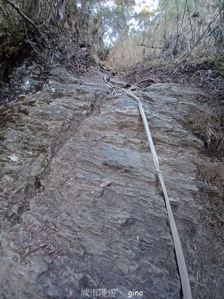 20231210_103832.jpg