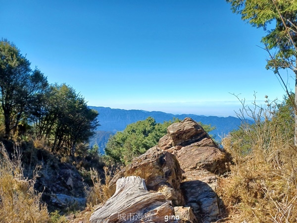 【南投信義】陡上陡下無冷場叫大山的都不好惹。 No91百岳~