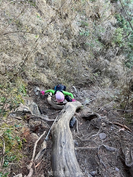 【南投信義】陡上陡下無冷場叫大山的都不好惹。 No91百岳~